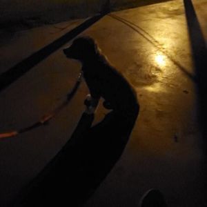 Meet your Posher, Mikeala